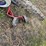 #3522-•-(2)-huffy-kid-bikes-image-7