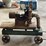 fairbanks-morse-pump-on-custom-cart-image-7