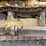 caterpillar-d7f-image-10