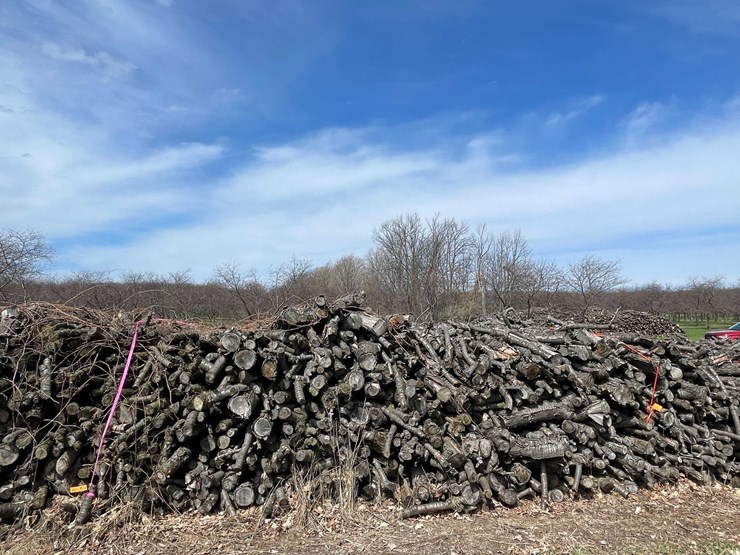 #5530-•-door-county-cherry-wood-image-5