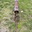 hutchinson-8x57-image-3