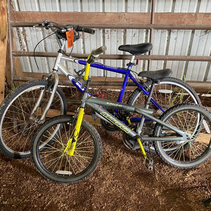 #3595 • (2) Bicycles