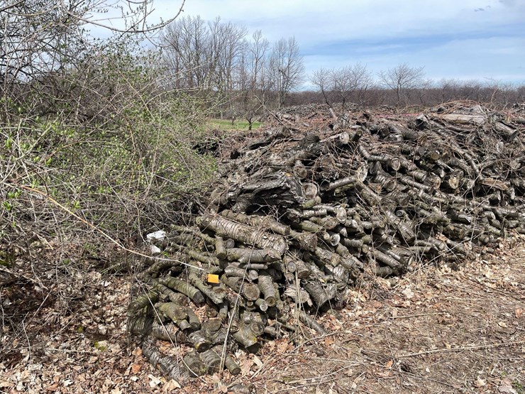 #5531-•-door-county-cherry-wood-image-2