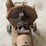 fairbanks-morse-pump-on-custom-cart-image-9