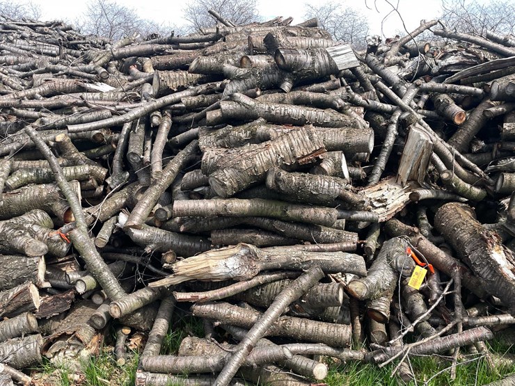 #5523-•-door-county-cherry-wood-image-1