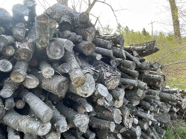 #5503-•-door-county-cherry-wood-image-7