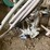 #3562-•-graco-nova-390-pc-paint-sprayer-image-7