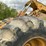 1995-caterpillar-525-image-95