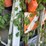 #6085-•-concrete-shoots,-construction-barriers-and-more-image-2