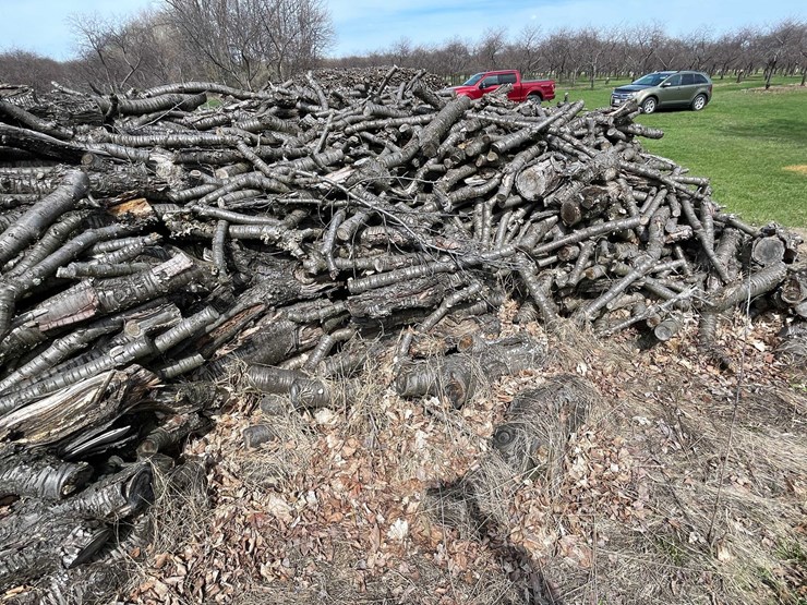 #5528-•-door-county-cherry-wood-image-3