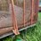 #3501-•-9'-x-16'-h&s-hay-wagon-image-6