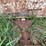 #3583-•-pull-behind-apache-creep-feeder-image-10