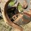 #119-•-volvo-log-grapple-forks-image-6