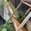 #6085-•-concrete-shoots,-construction-barriers-and-more-image-4