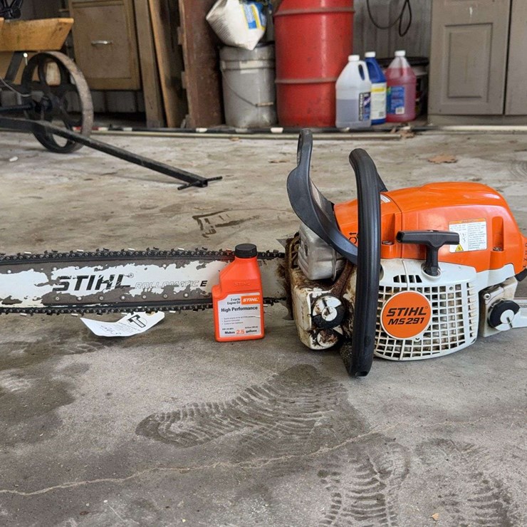 Stihl MS 291 Chainsaw with Stihl 2-Cycle Engine Oil