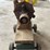 fairbanks-morse-pump-on-custom-cart-image-8