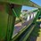 john-deere-643-image-4