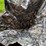 #3609-•-pile-of-outdoorsman-items-image-9