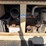 ingersoll-rand-g25-image-4
