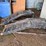 #3606-•-(2)-metal-car-ramps,-and-poly-water-tank-image-3
