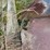 #3564-•-universal-mount-bucket-image-8