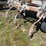 6-row-pull-type-anhydrous-applicator-image-4