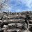 #5515-•-door-county-cherry-wood-image-2