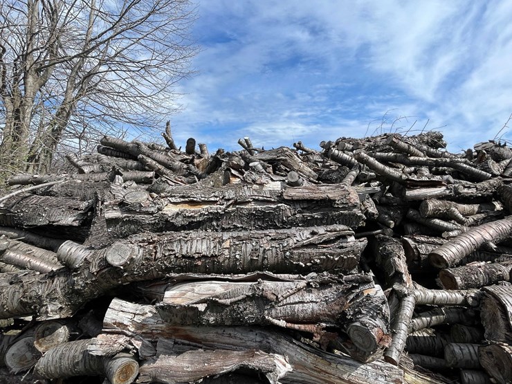 #5515-•-door-county-cherry-wood-image-2