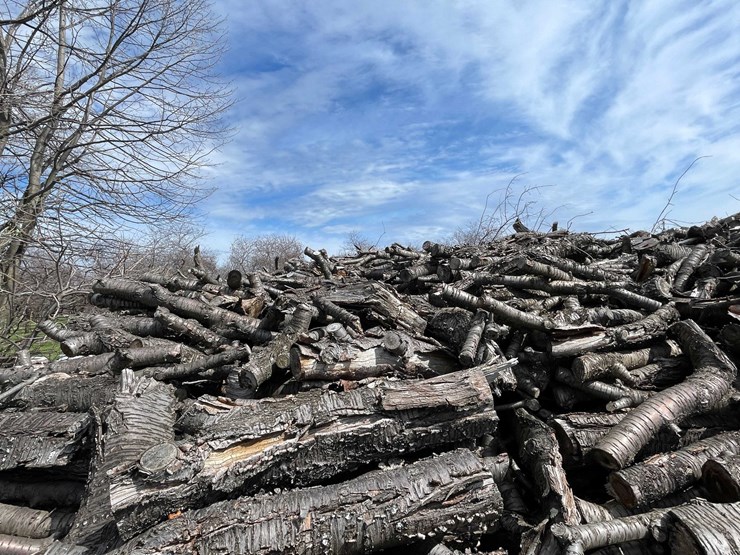 #5515-•-door-county-cherry-wood-image-3
