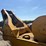 john-deere-640d-image-10