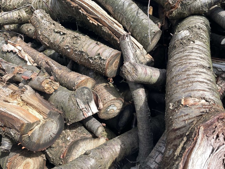 #5524-•-door-county-cherry-wood-image-6