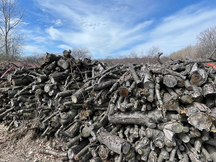 #5530-•-door-county-cherry-wood-image-3