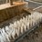 #3560-•-cattle-brush-groomer-image-3