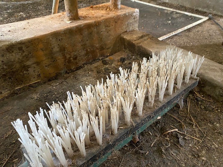 #3560-•-cattle-brush-groomer-image-3