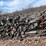 #5529-•-door-county-cherry-wood-image-5