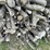 #5503-•-door-county-cherry-wood-image-5