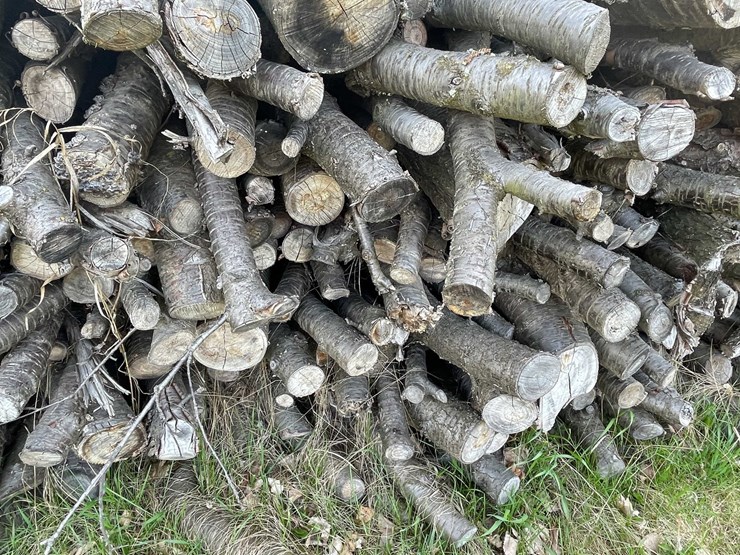 #5503-•-door-county-cherry-wood-image-5
