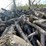 #5504-•-door-county-cherry-wood-image-8