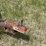 #2873-•-tar-kettle-on-trailer-(or)-image-9