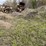 #2824-•-piles-of-material-(g)-image-8