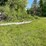 #2870-•-(4)-wood-utility-poles-(or)-image-3