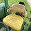 john-deere-2940-image-21