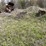 #2824-•-piles-of-material-(g)-image-7