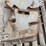massey-ferguson-8-image-2