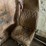 #2845-•-collection-of-parts-(or)-image-6