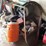 #2837-•-squirrel-cage-fan-(or)-image-7
