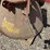 s-500-u-3-pt-spreader-image-13