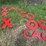 #2885-•-collection-of-plastic-letters-(or)-image-6