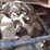 2016-mack-cxu613-t/a-hiway-tractor---sleeper---1m1-image-74