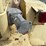 #7-•-onan-30ek-s/a-generator-inv#-49091-image-14